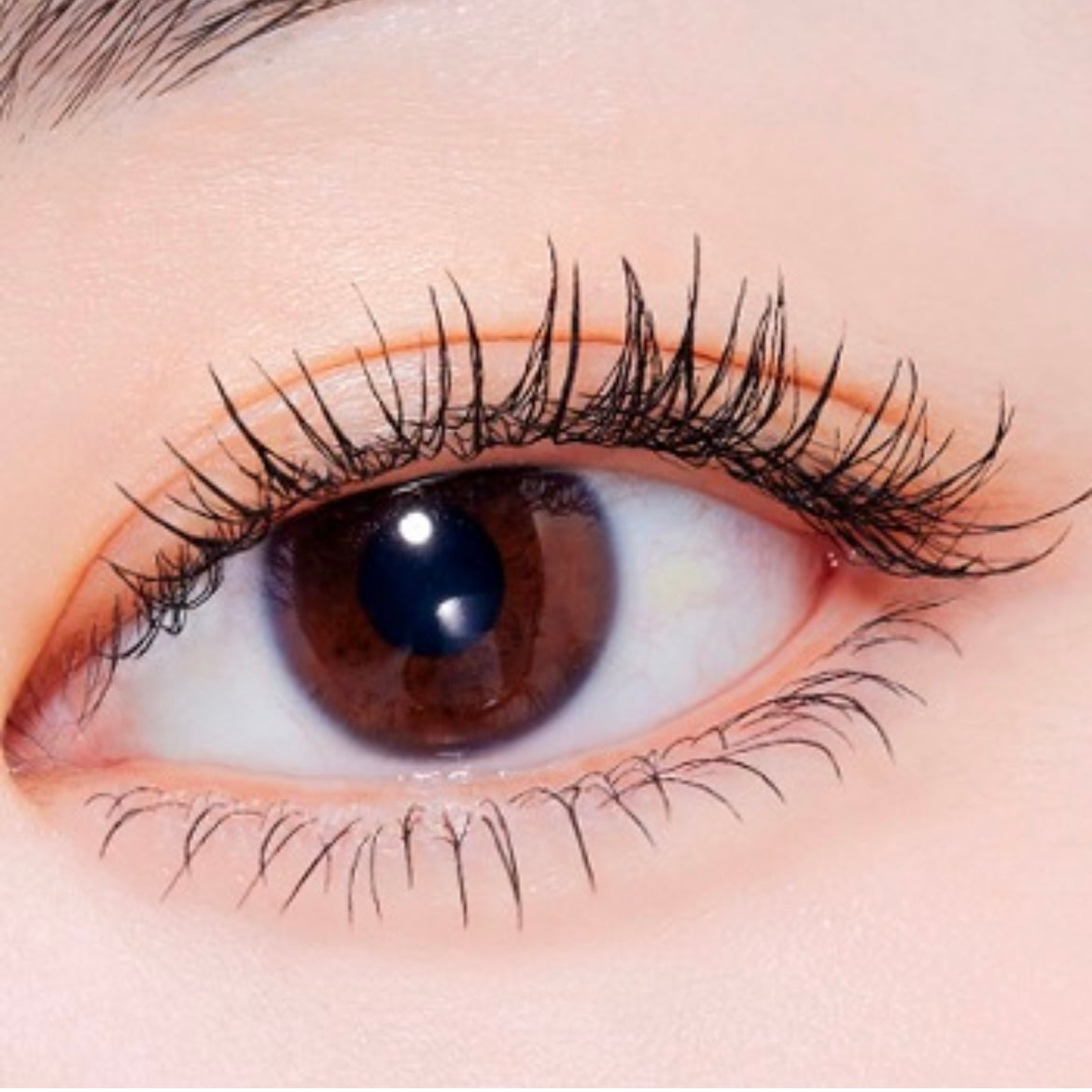 etude - curl fix mascara