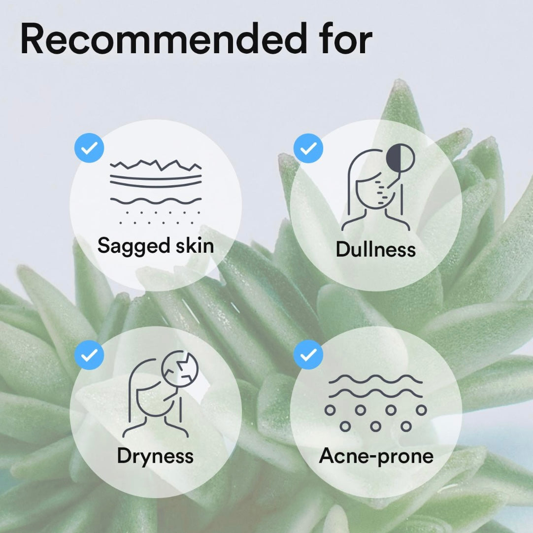 abib - collagen gel mask